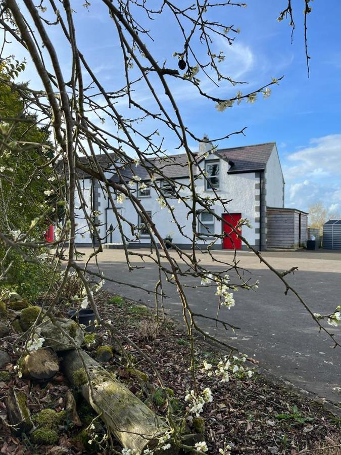Willow House Bed & Breakfast And Orchard Studios Self Catering Limavady Esterno foto